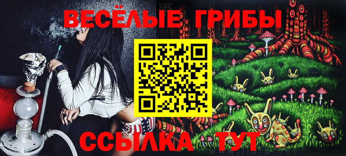 Псилоцибиновые грибы Cubensis Ейск
